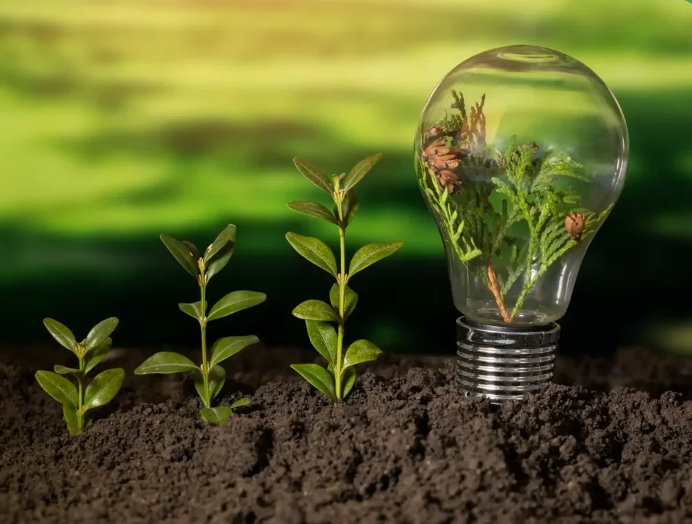 lightbulb with plants inside planted in dirt