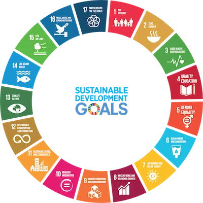 UN Sustainable Goals 2023 circle animation