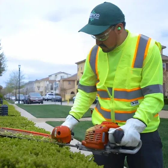 landscaper in reflective shirt trimming hedges