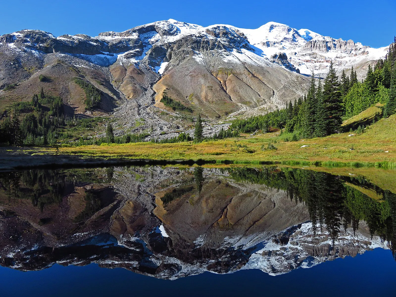 Mount Rainier Park in Washington State