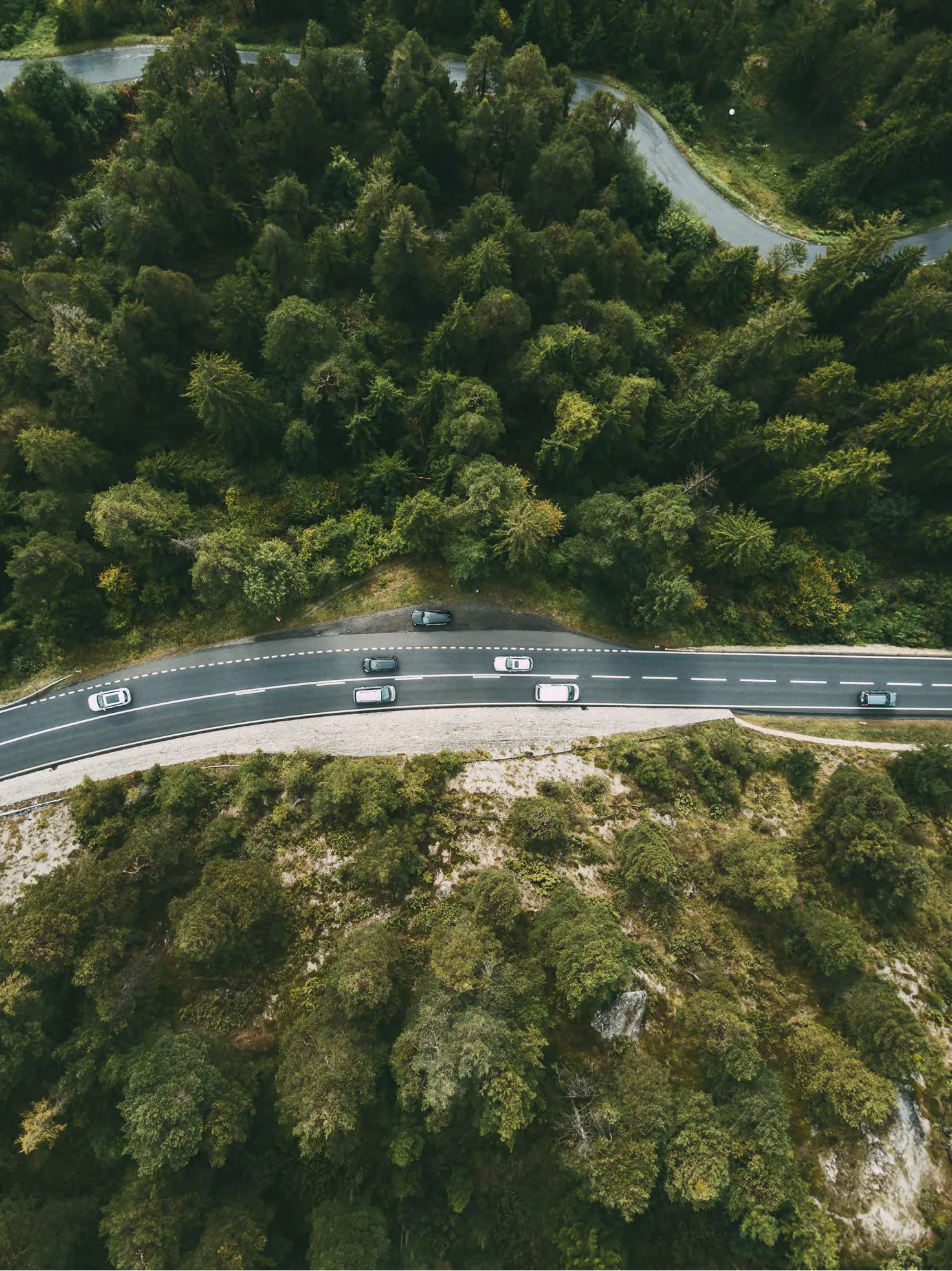 arial photo of highway in the woods