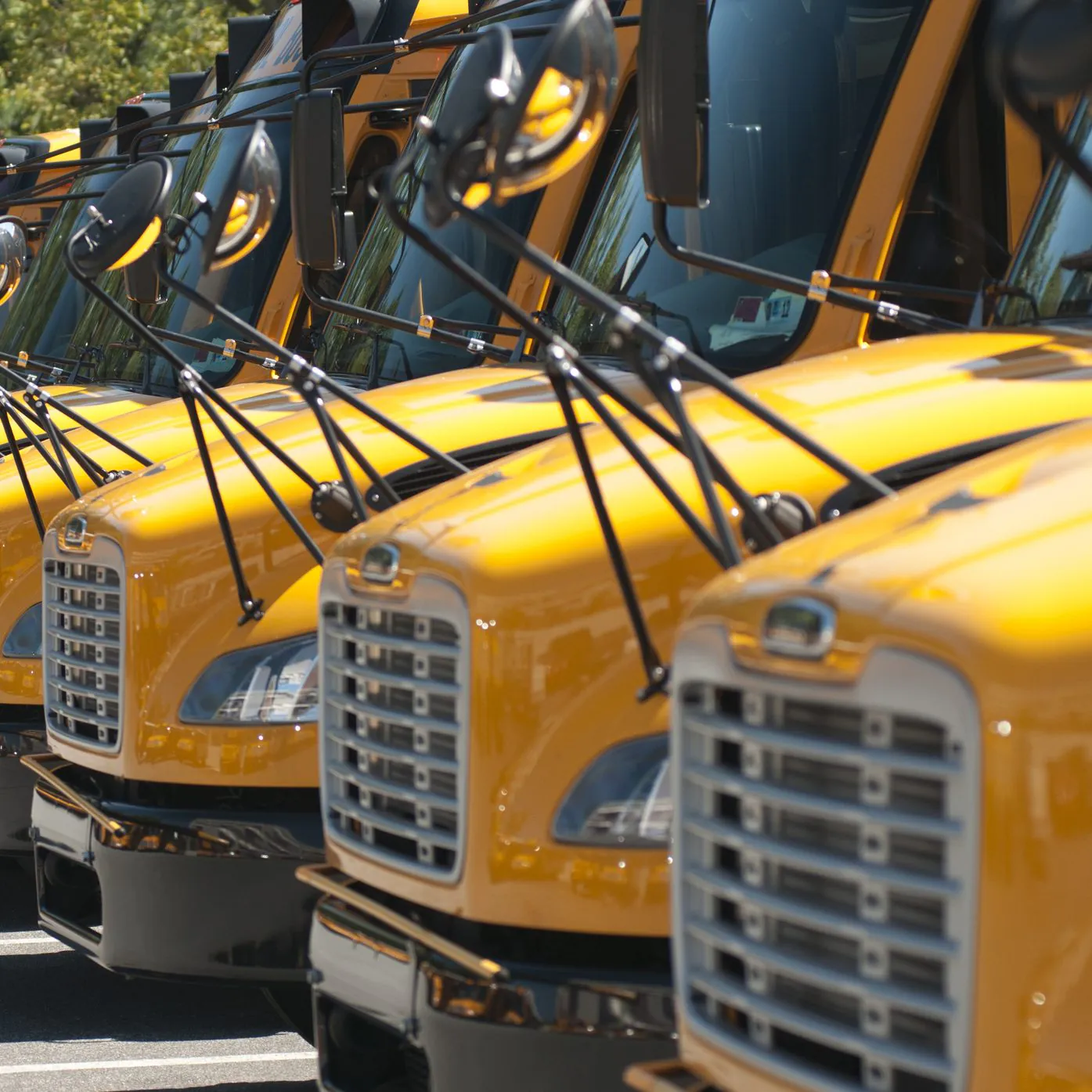 yellow school buses in a row