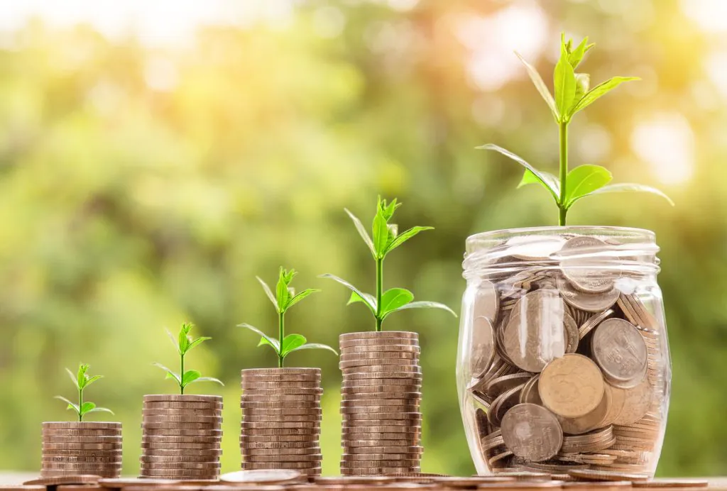 stacks of coins and jar of coins with green plants emerging from top