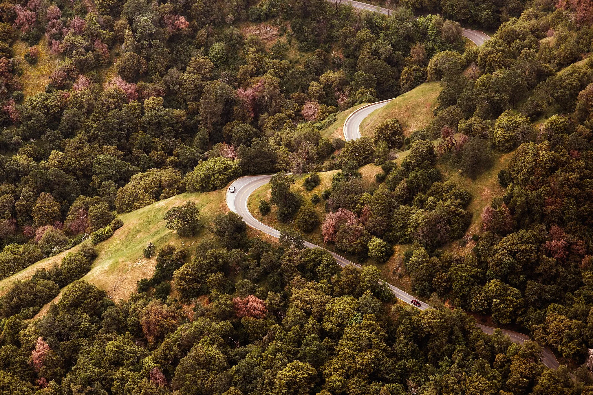 forest driving highway