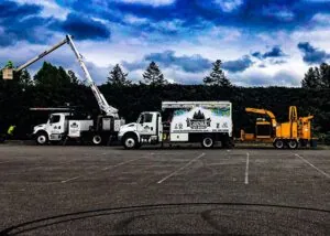 Helping Home Improvement & Landscaping Services Save